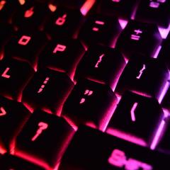 Promoting Cyber Security Sector Diversity and Bilateral Interdisciplinary Research